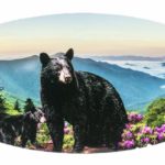 Black Bear with Cubs Mountain Scene Plaque - Indoor Outdoor Wooden Sign Plaques