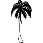 Carved Palm Tree